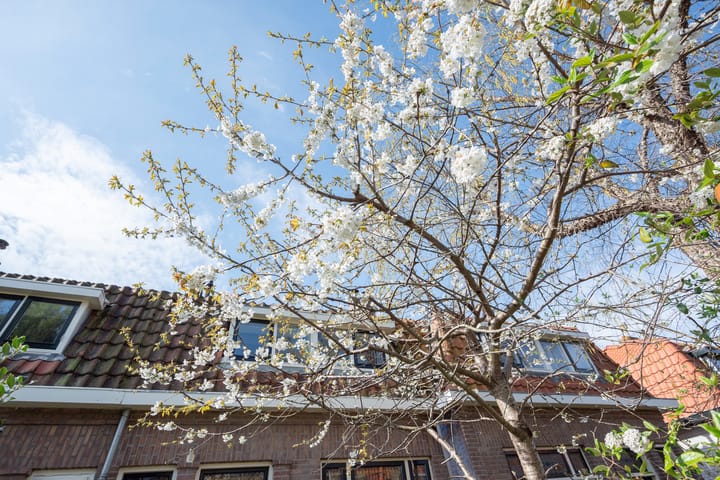 Foto 38 van Lambrecht van Dalelaan 14