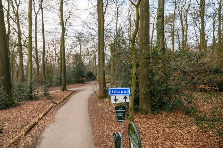 Photo 22 of Lippe Biesterfeldstraat 9-1