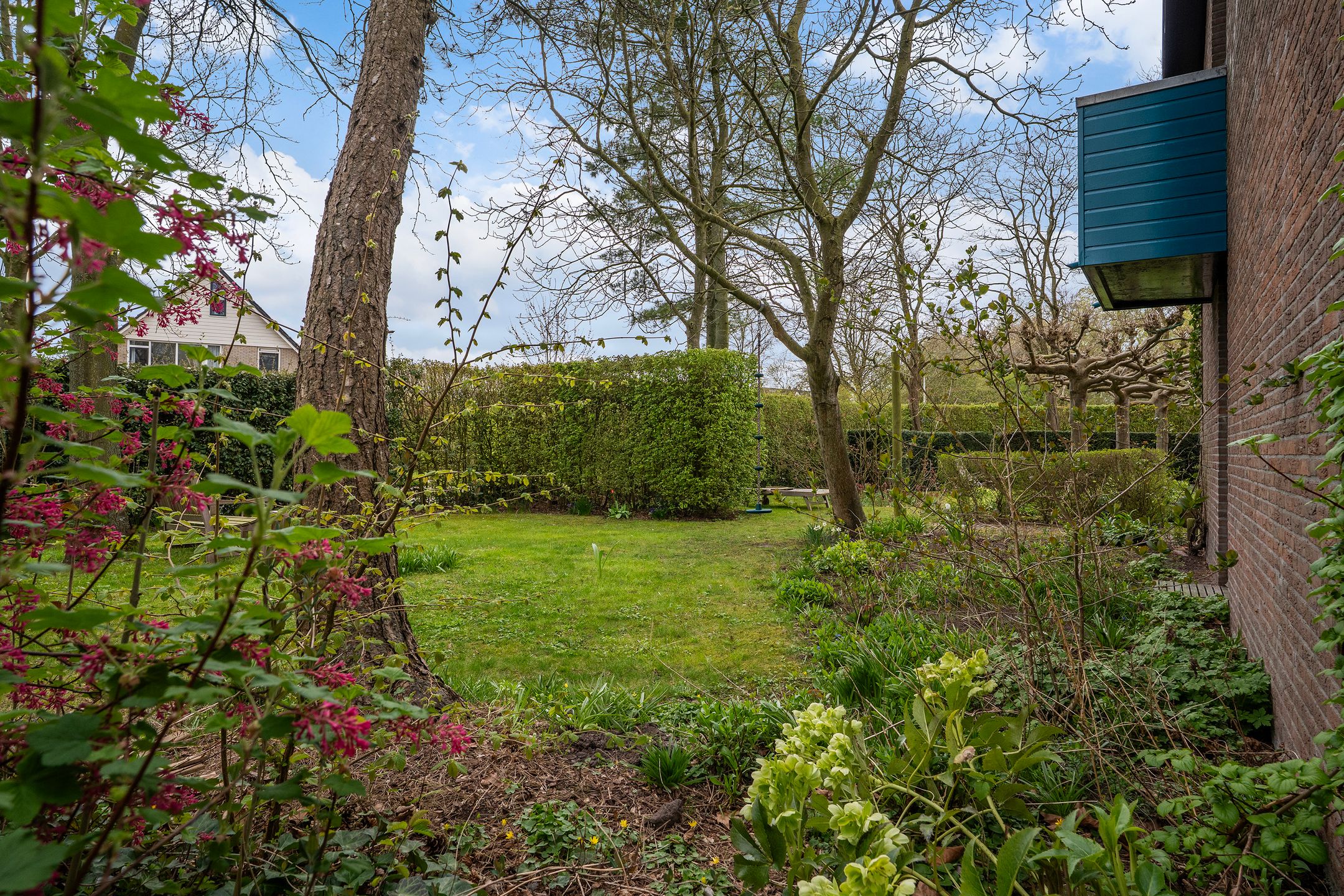 Foto 54 van Griene Leane 26