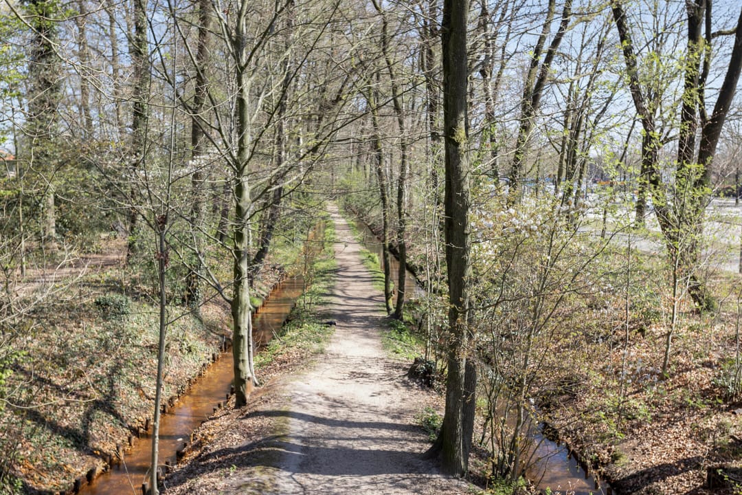 Foto 28 van Chopinlaan 41