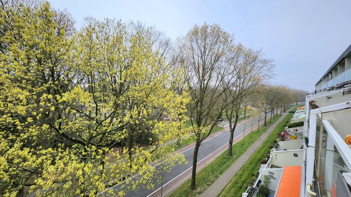 Foto 6 van Dillenburg 36