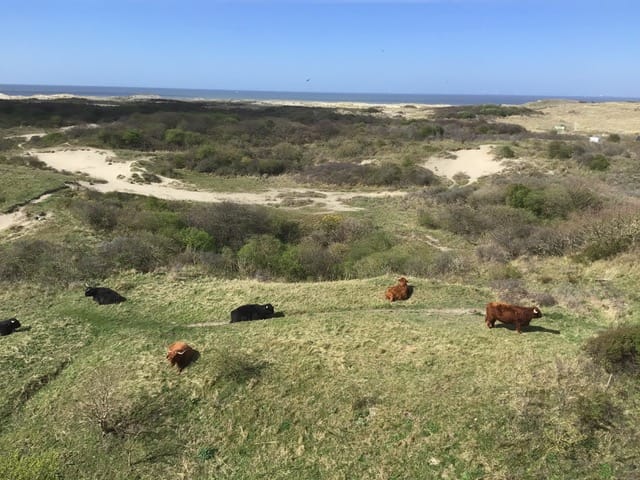 Foto 46 van Griendsestraat 42