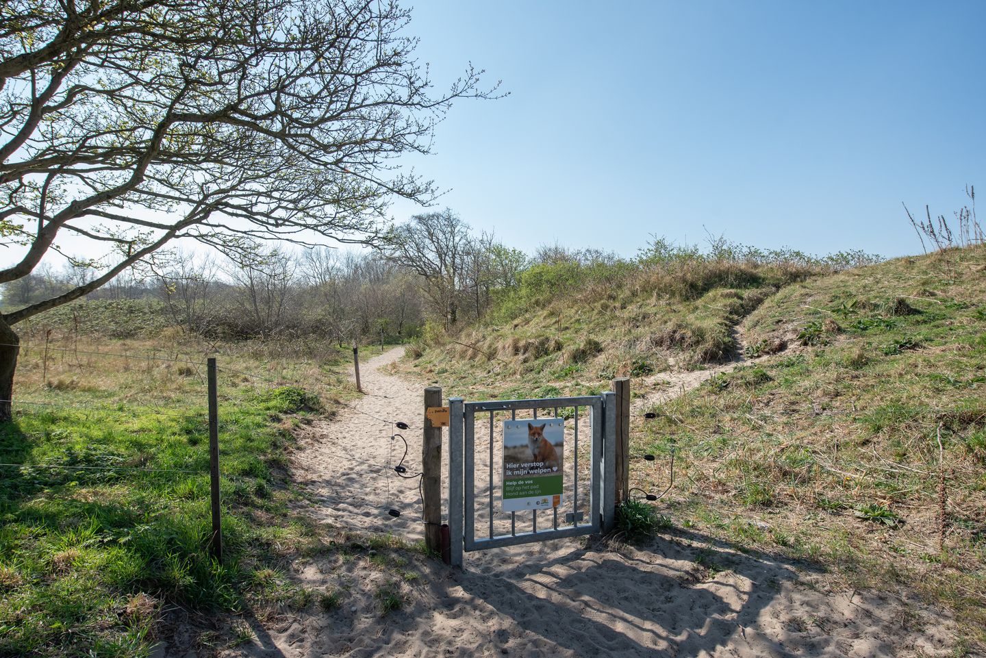 Foto 49 van Griendsestraat 42