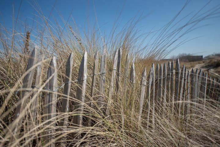 Foto 50 van Griendsestraat 42