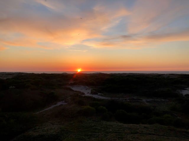 Foto 60 van Griendsestraat 42