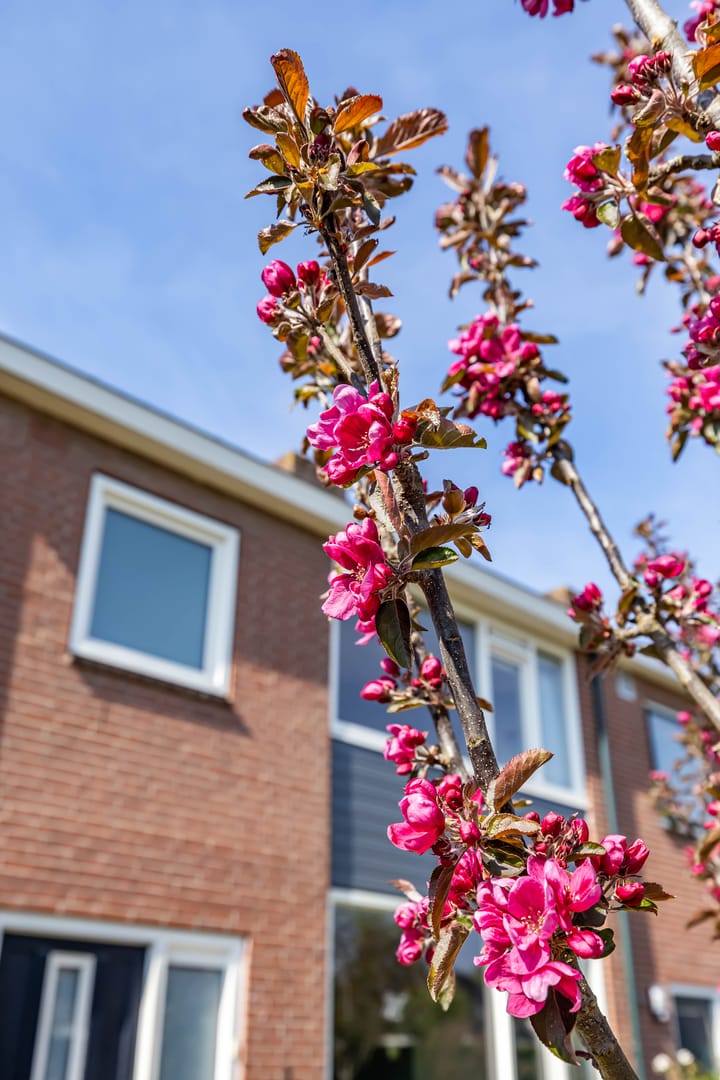 Foto 11 van Van Veldekelaan 14