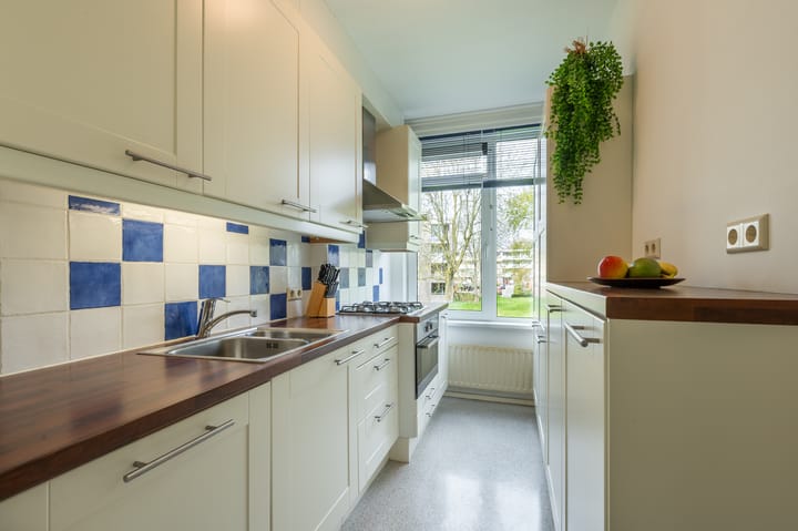 Foto 3 van Paganinidreef 61