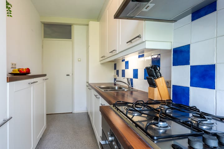 Foto 18 van Paganinidreef 61