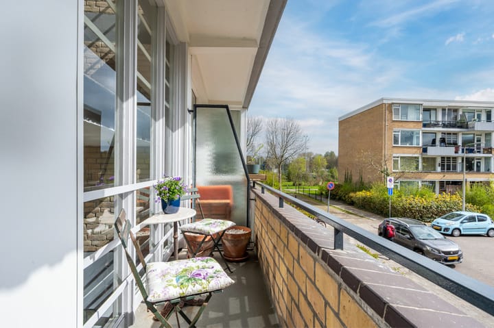 Foto 29 van Paganinidreef 61