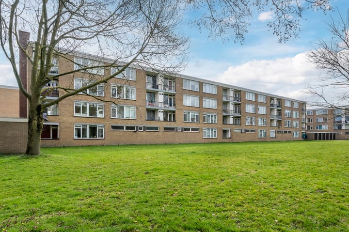 Foto 31 van Paganinidreef 61