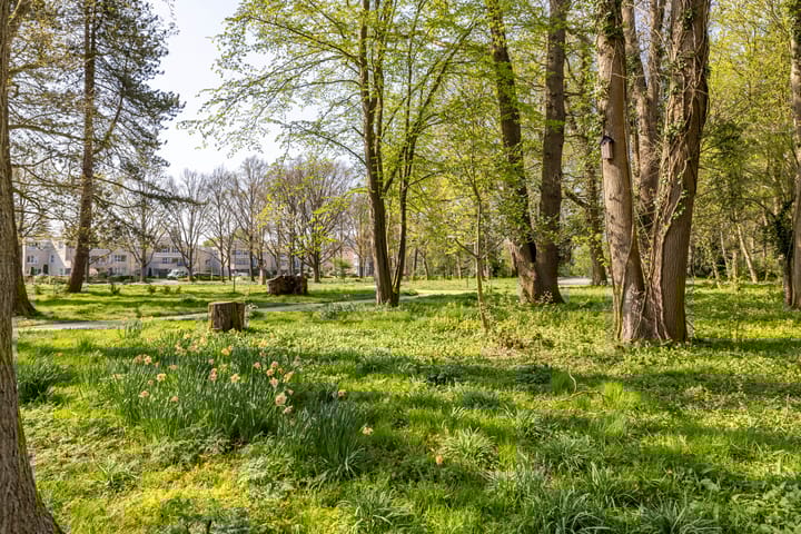 Foto 69 van Van Veldekelaan 14