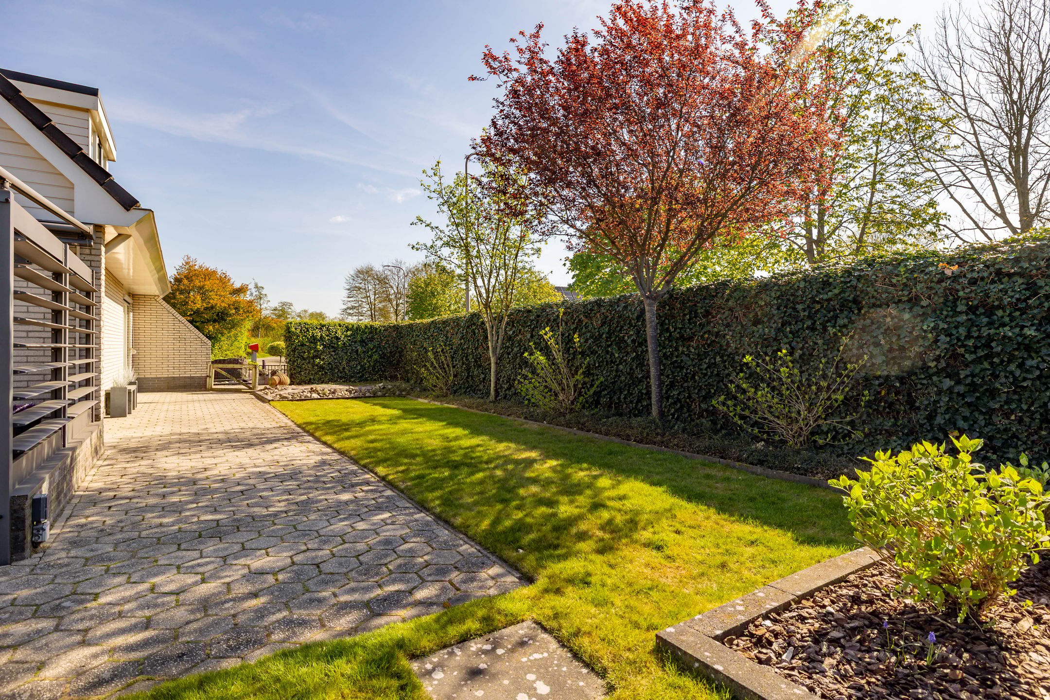 Photo 72 of Wederik 1