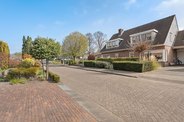 Foto 49 van de Spinde 59