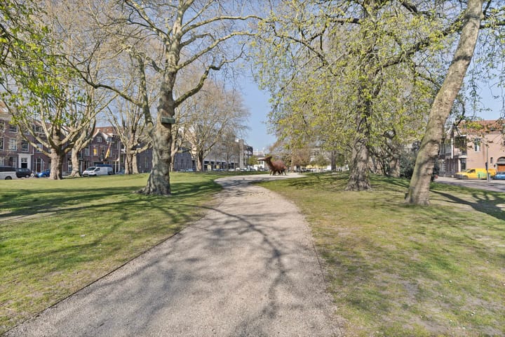 Foto 5 van Tuinlaan 84