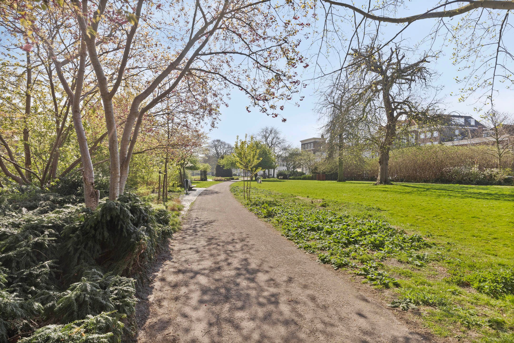 Foto 39 van Tuinlaan 84