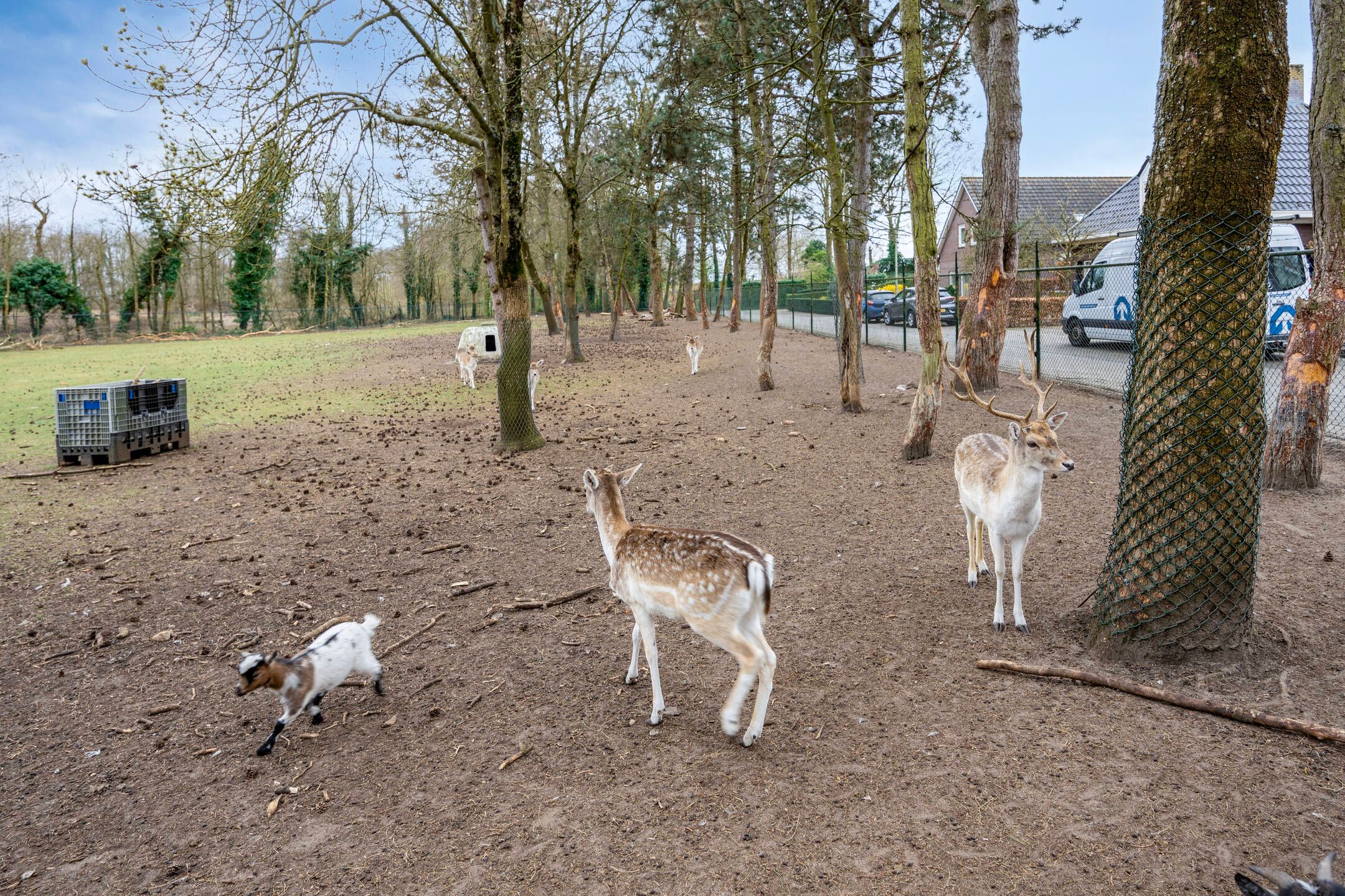 Photo 42 of Badweg 26