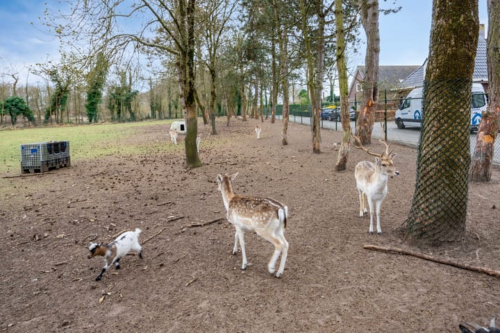 Foto 42 van Badweg 26