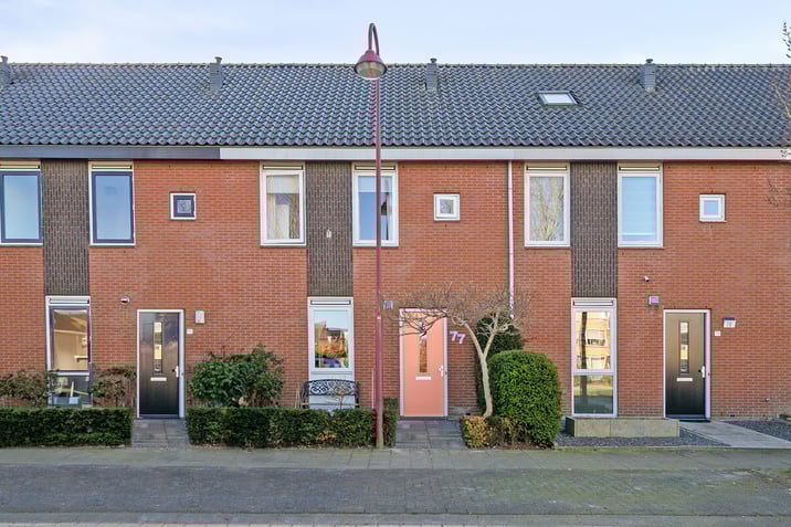undefined main image