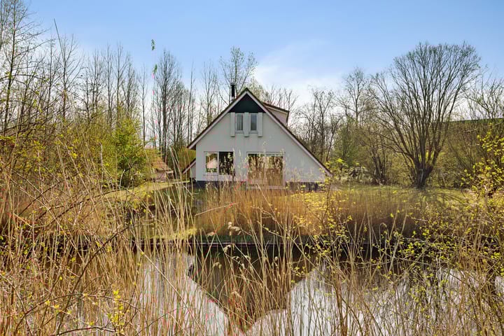 Foto 1 van De Rug 3-102