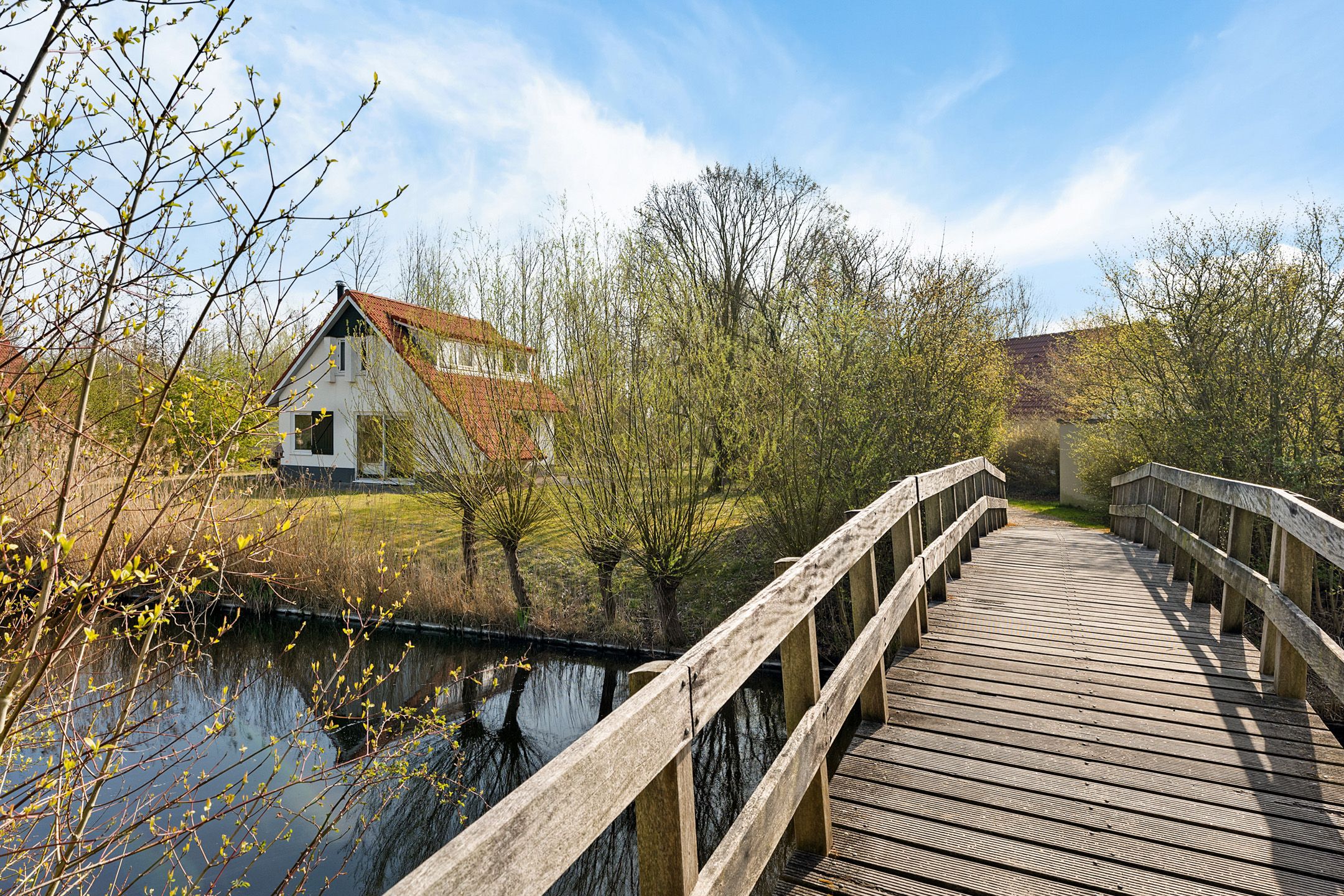 Photo 6 of De Rug 3-102