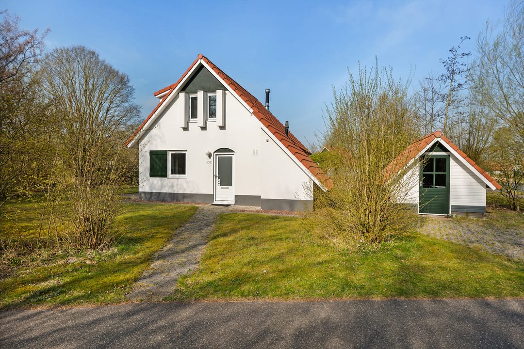 Photo 7 of De Rug 3-102