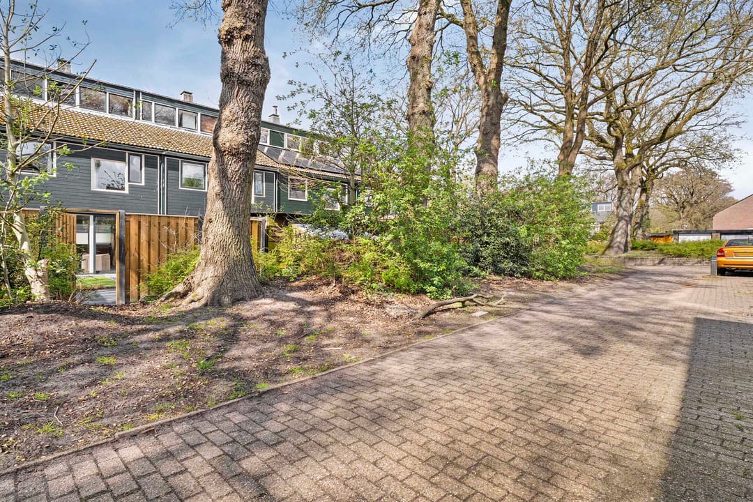 Photo 37 of Ruinerbrink 40