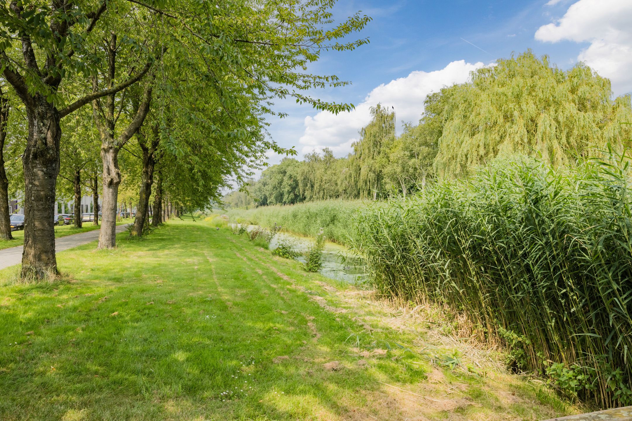 Foto 48 van Hattasingel 158