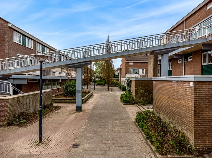 Foto 2 van Boogschutter 55