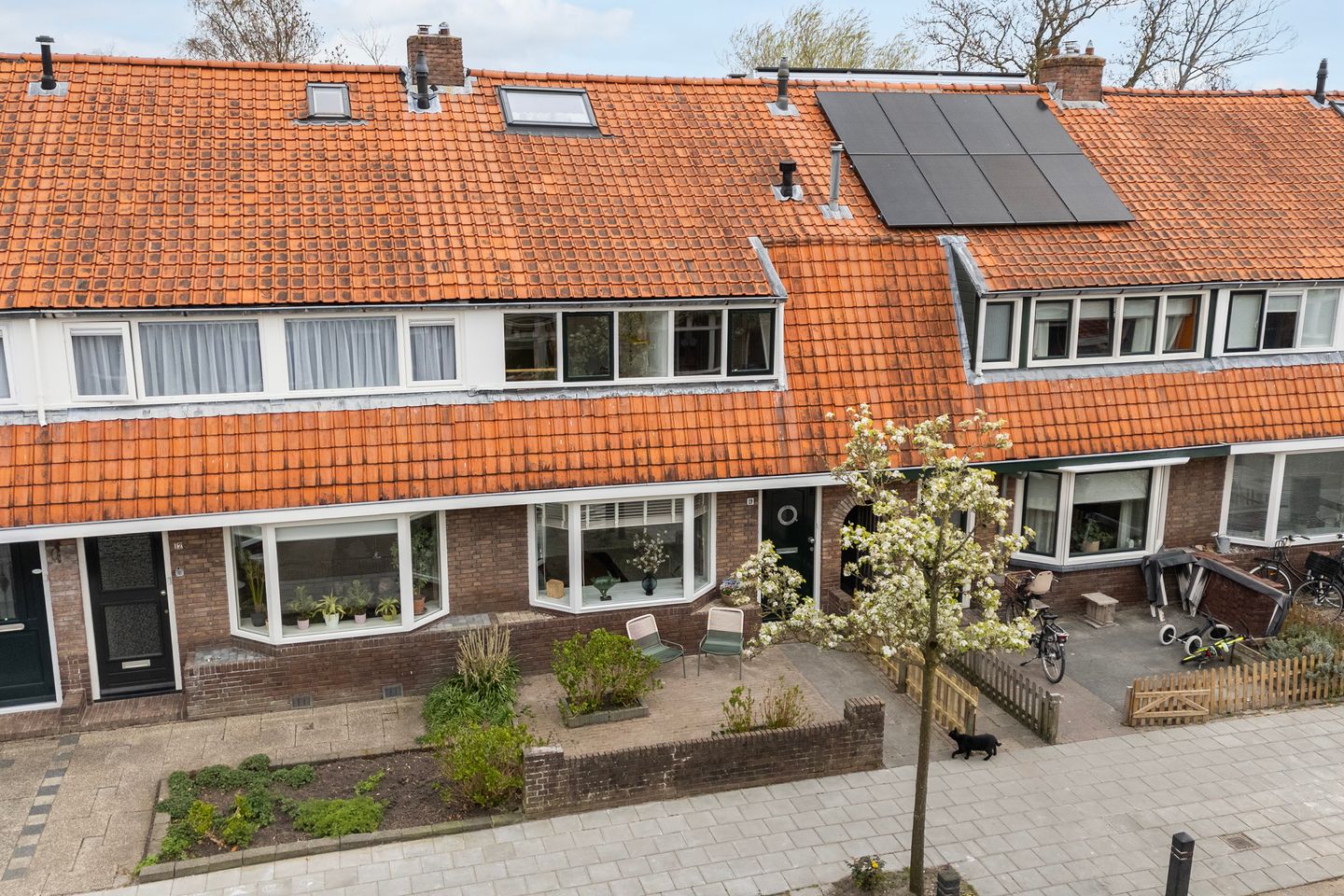 Foto 49 van Pieter de Hooghstraat 19