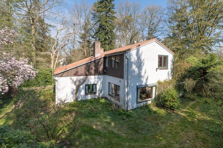 Foto 2 van Mesdaglaan 1