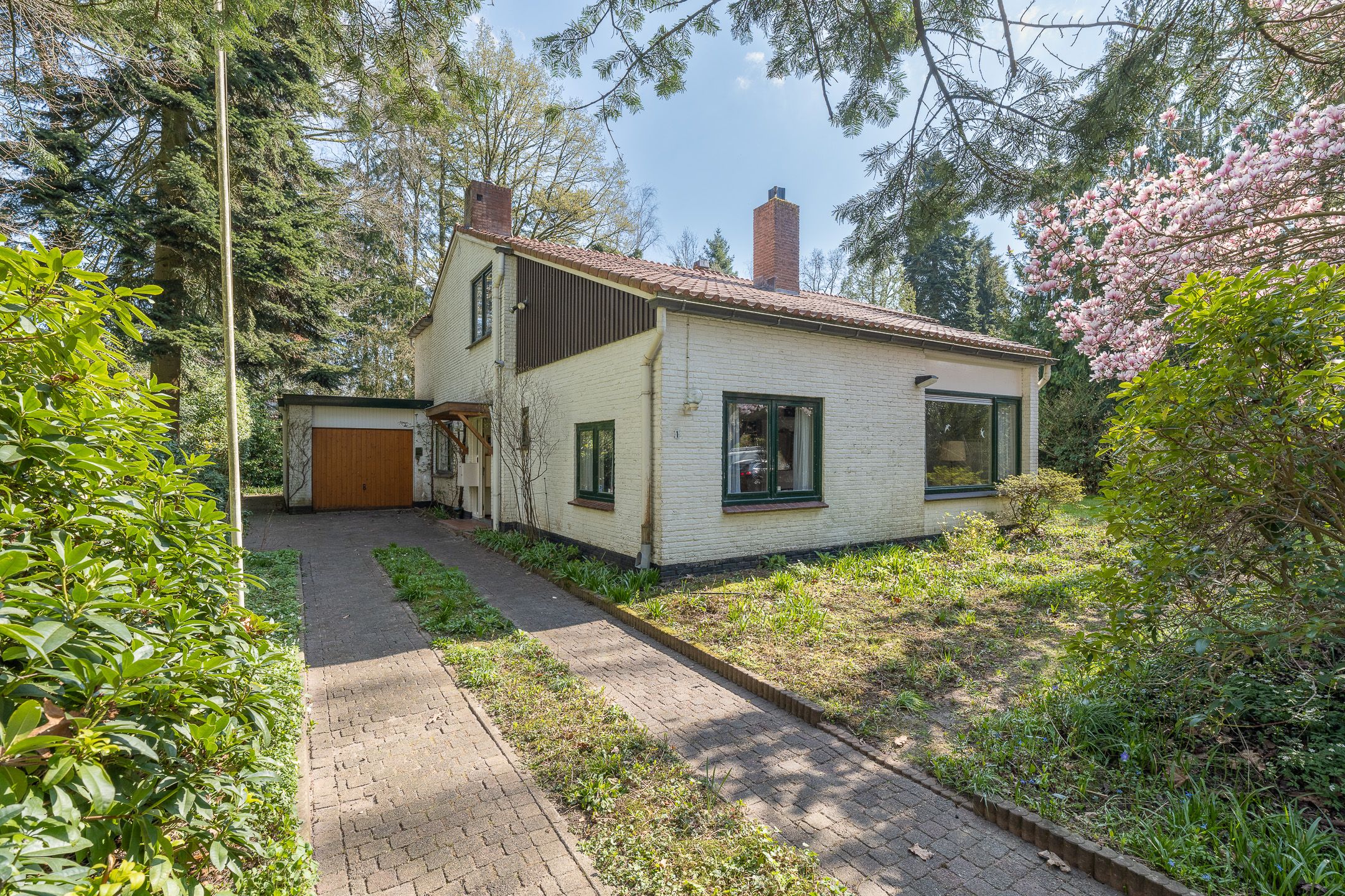 Photo 3 of Mesdaglaan 1