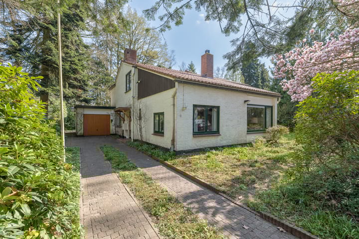 Foto 3 van Mesdaglaan 1