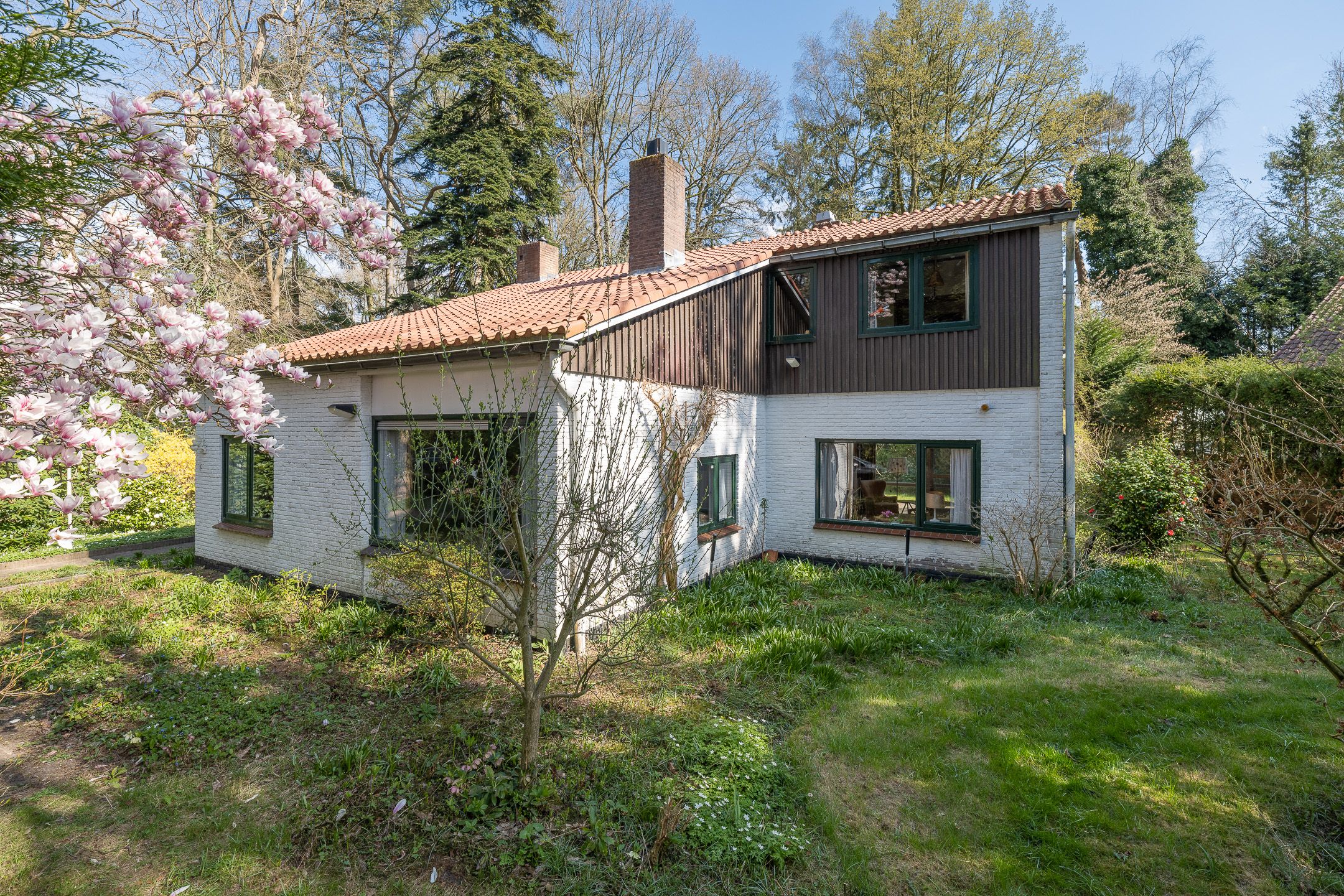 Photo 36 of Mesdaglaan 1