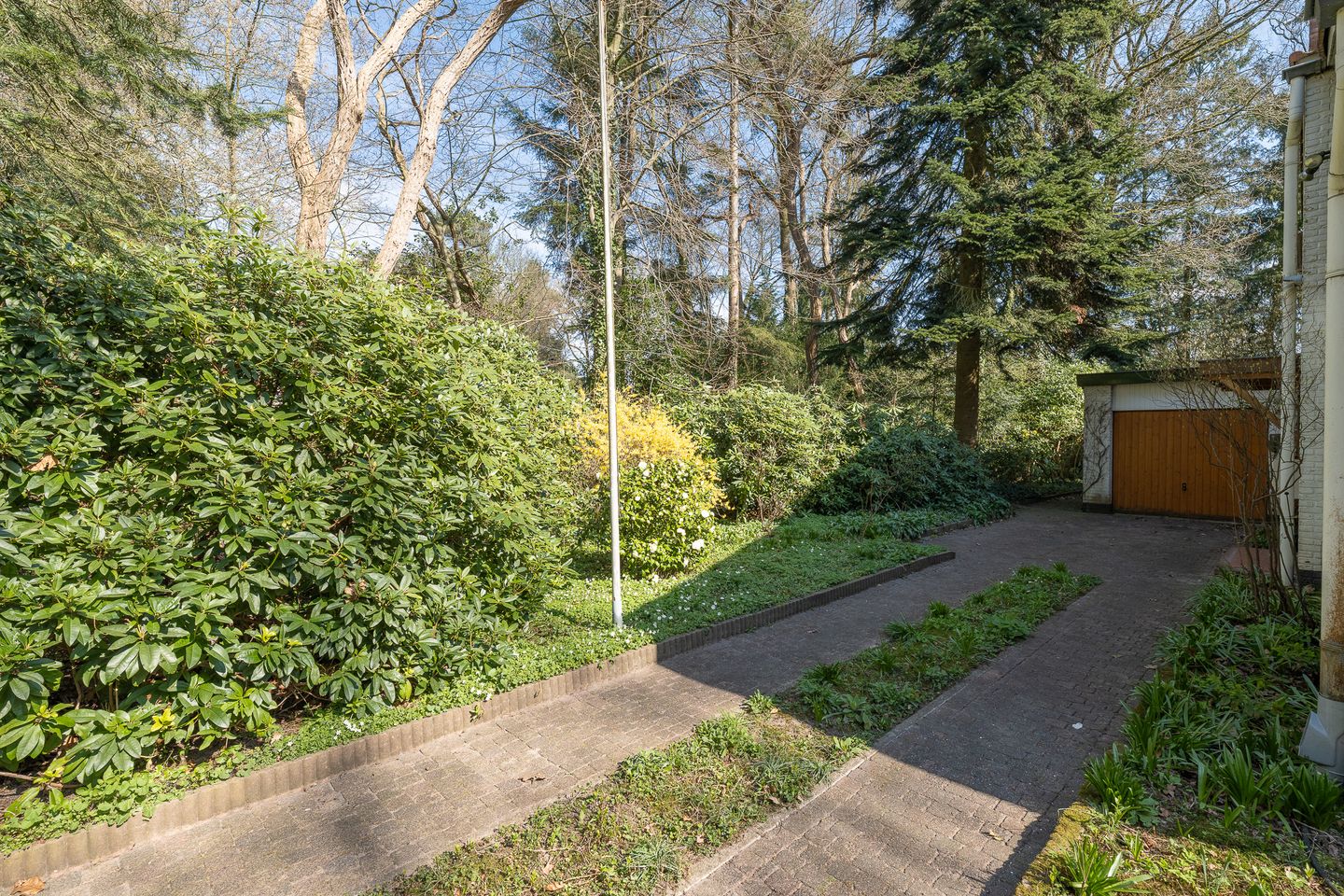 Photo 40 of Mesdaglaan 1