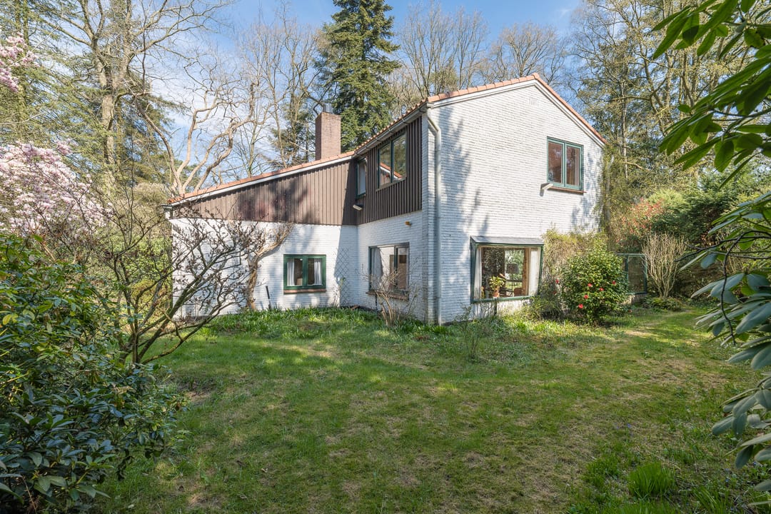 Photo 41 of Mesdaglaan 1