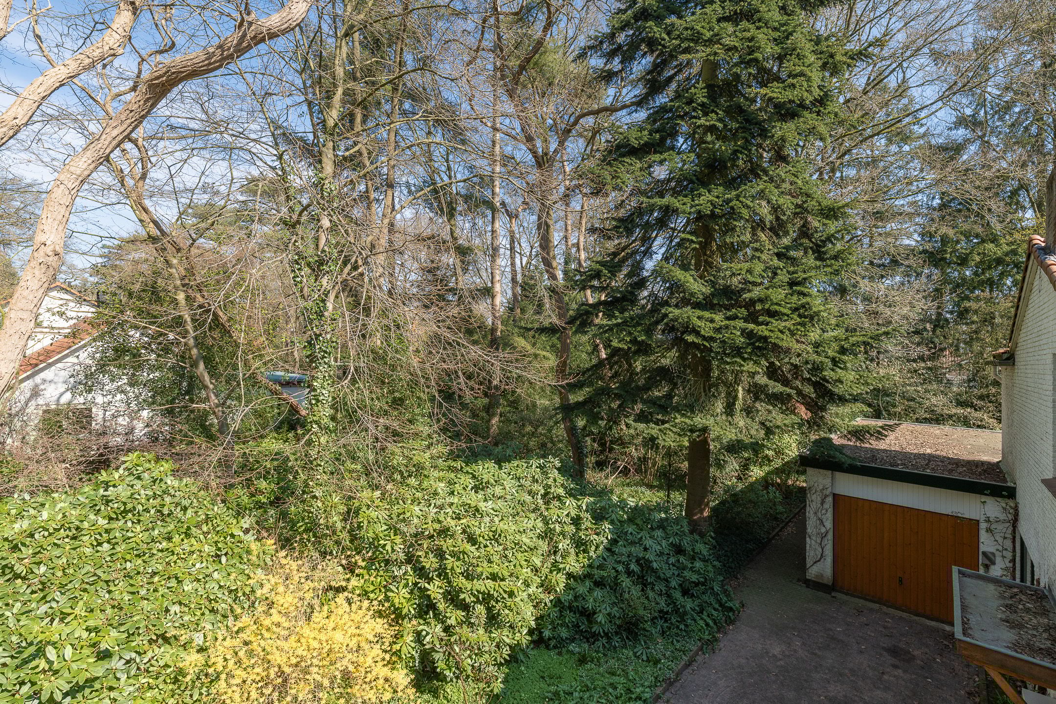 Photo 42 of Mesdaglaan 1