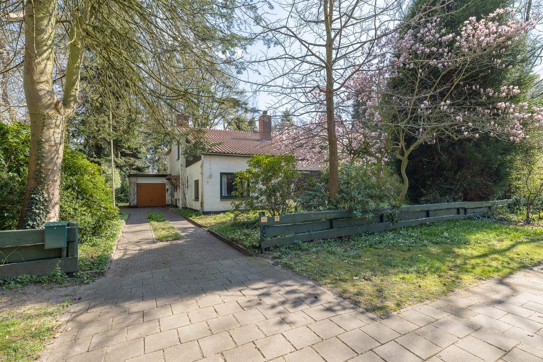 Photo 43 of Mesdaglaan 1