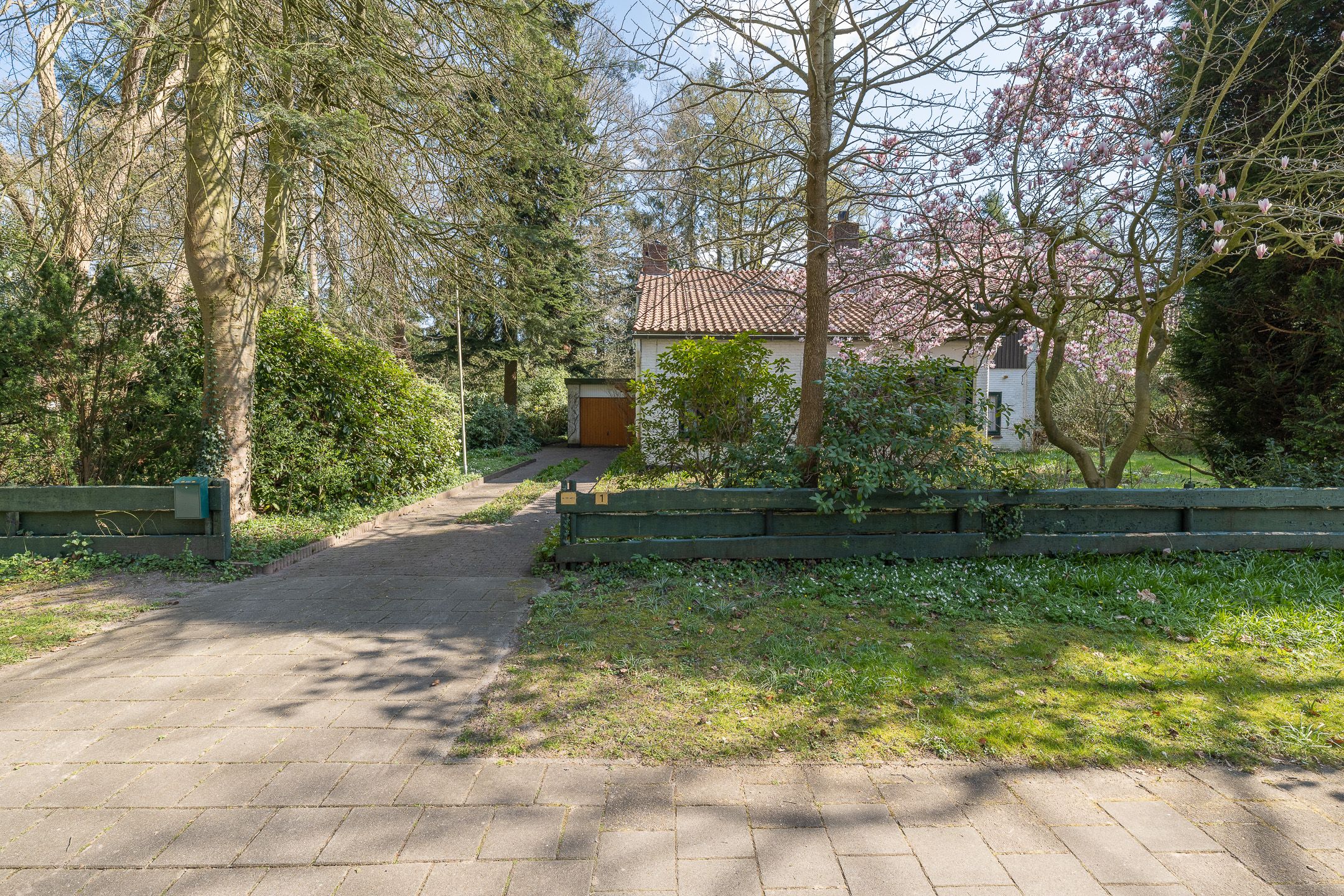 Photo 45 of Mesdaglaan 1