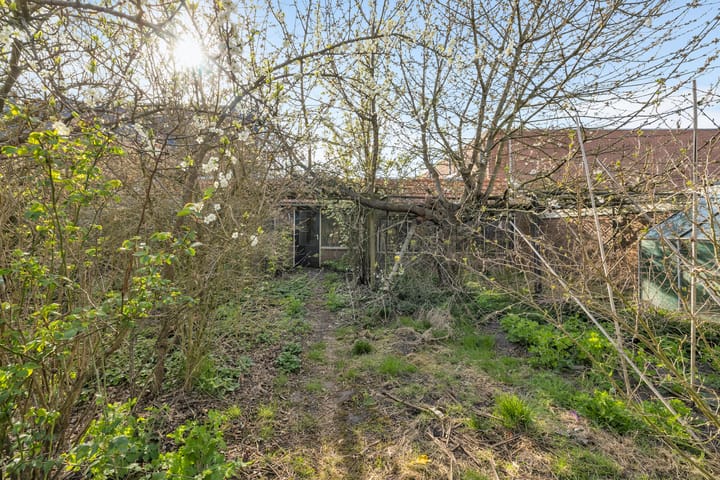 Foto 45 van Gronausestraat 234