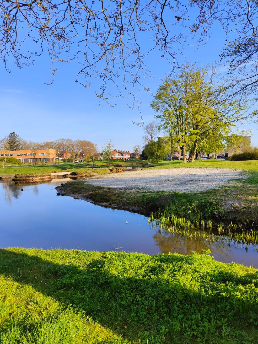 Foto 41 van Meerkoetstraat 13