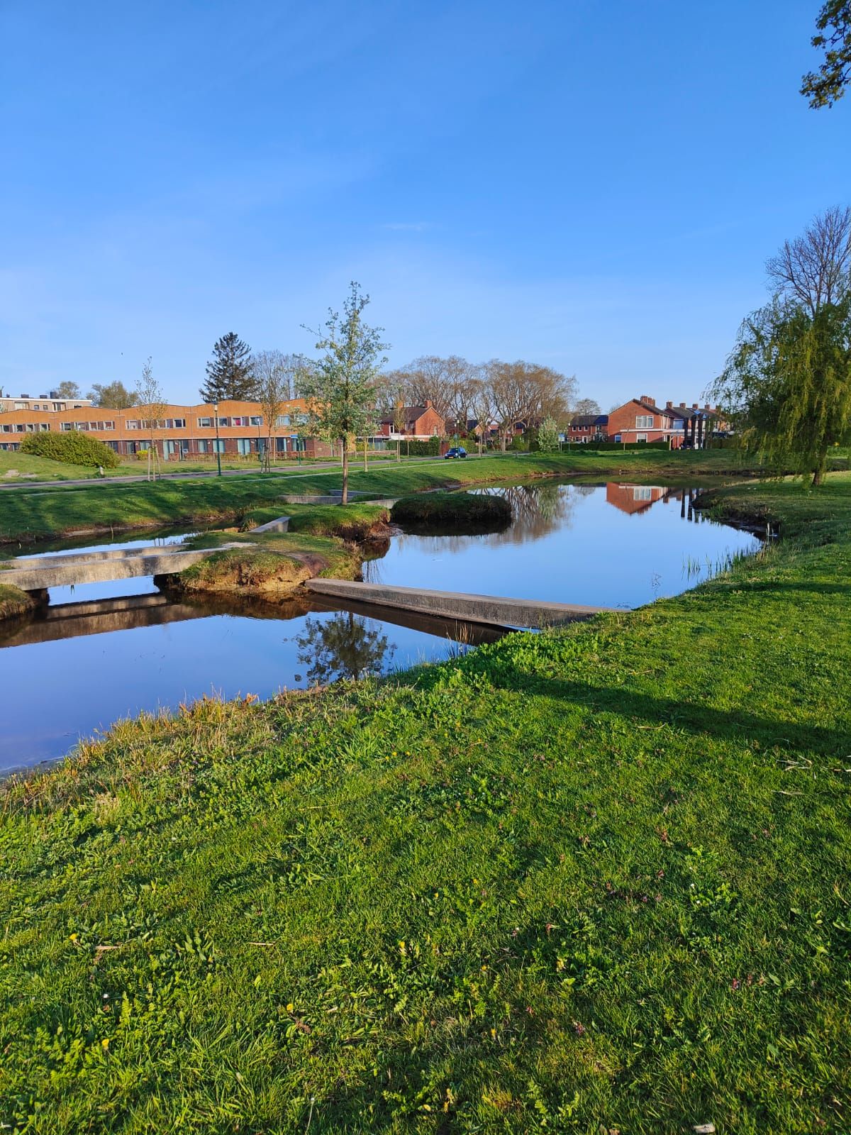 Foto 42 van Meerkoetstraat 13