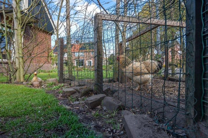 Photo 9 of Julianalaan 1