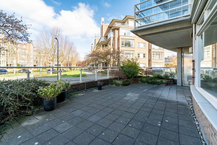 Foto 18 van Buizerdlaan 219