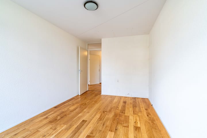 Foto 19 van Buizerdlaan 219