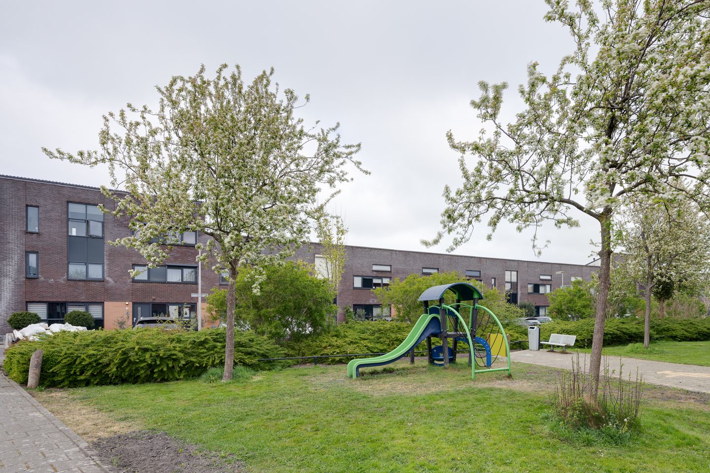 Photo 49 of Mambostraat 130