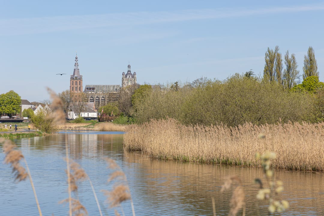 Foto 43 van Pettelaarseweg 190-D