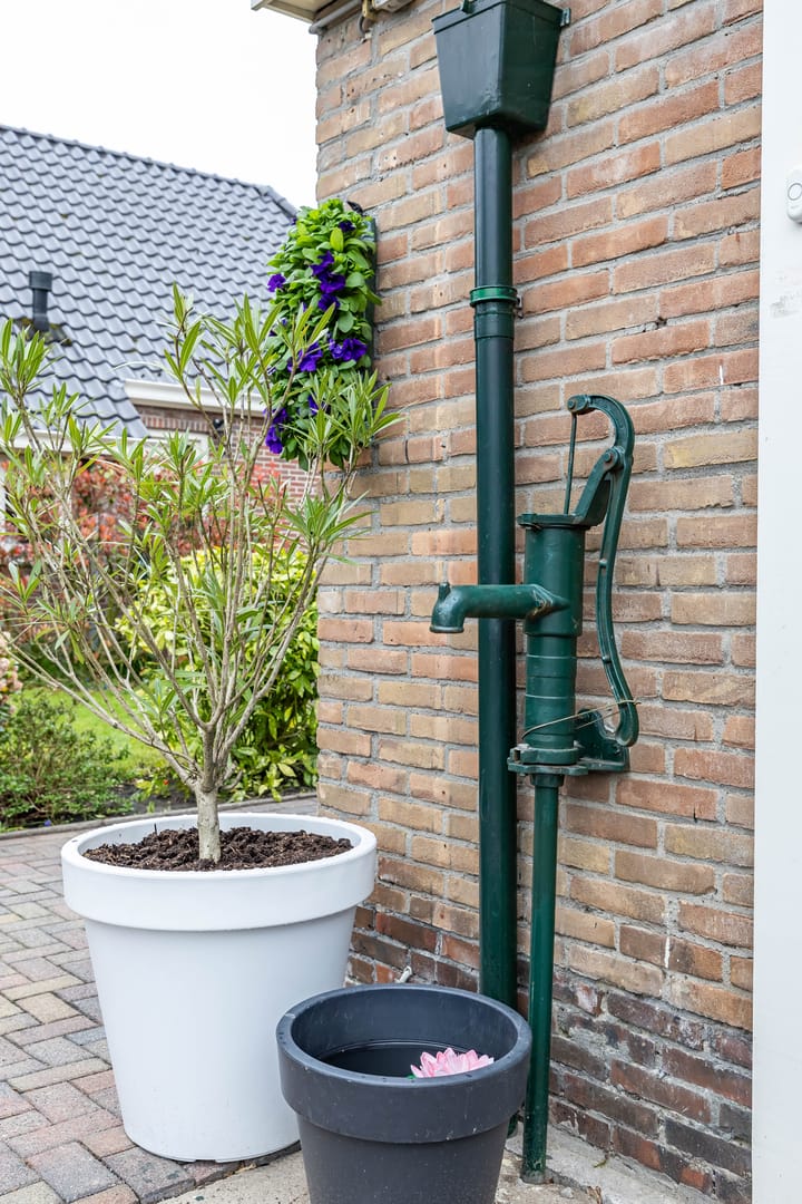 Foto 41 van Tsjerkewâl 5