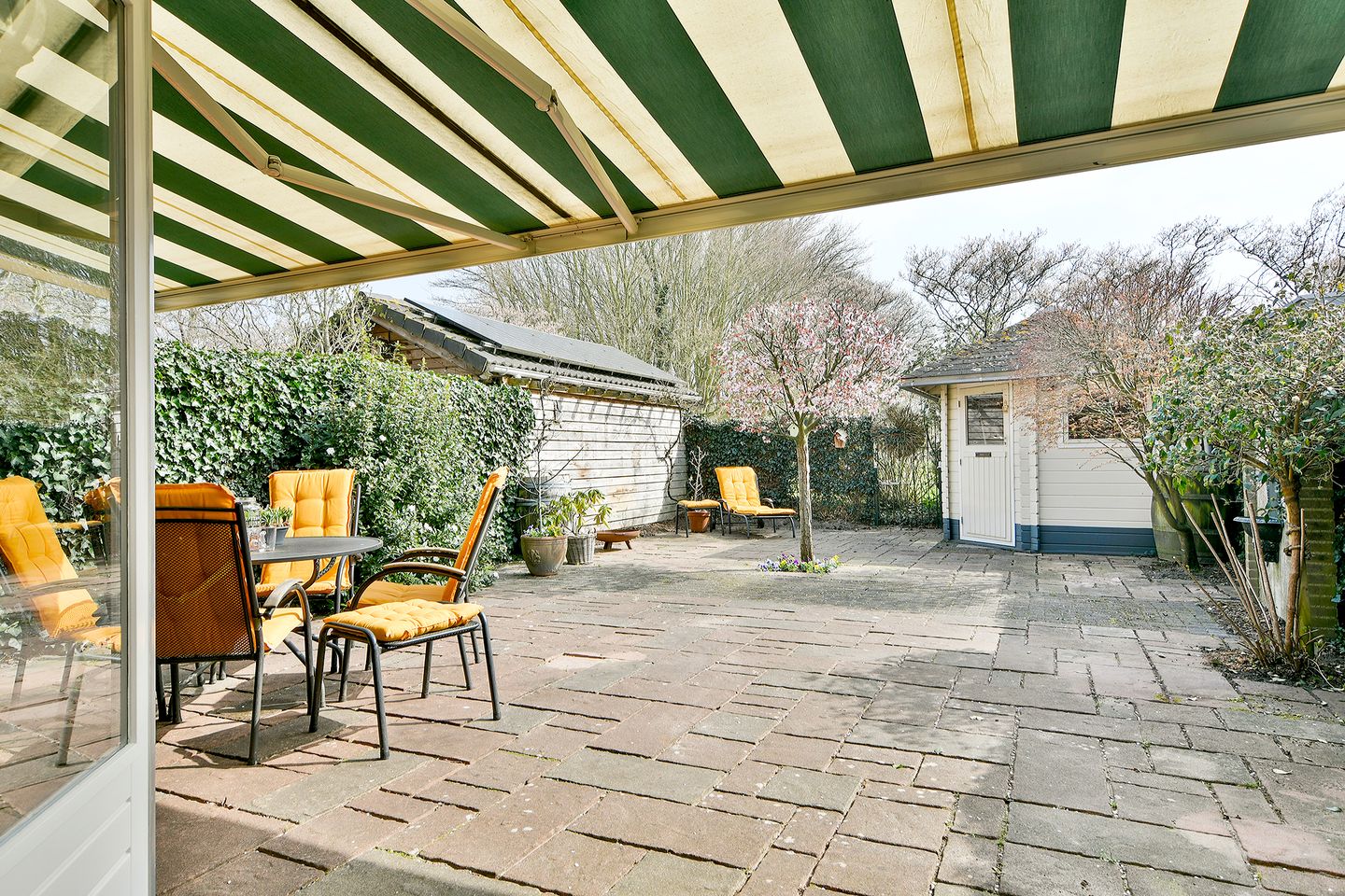 Foto 19 van Landleeuw 31