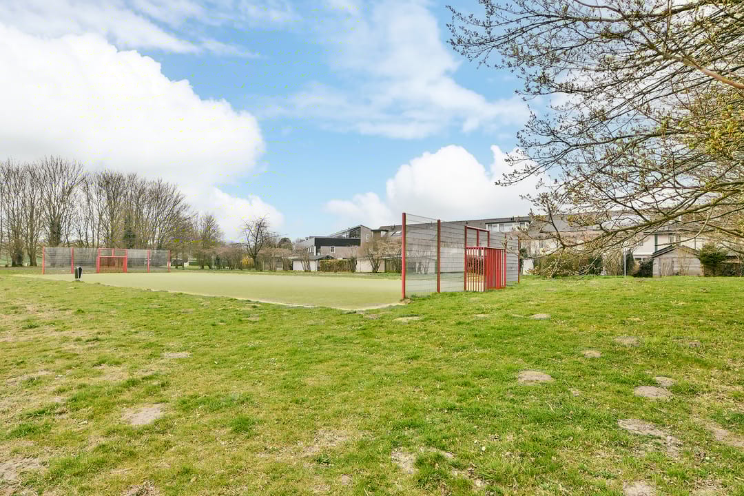 Foto 37 van Landleeuw 31