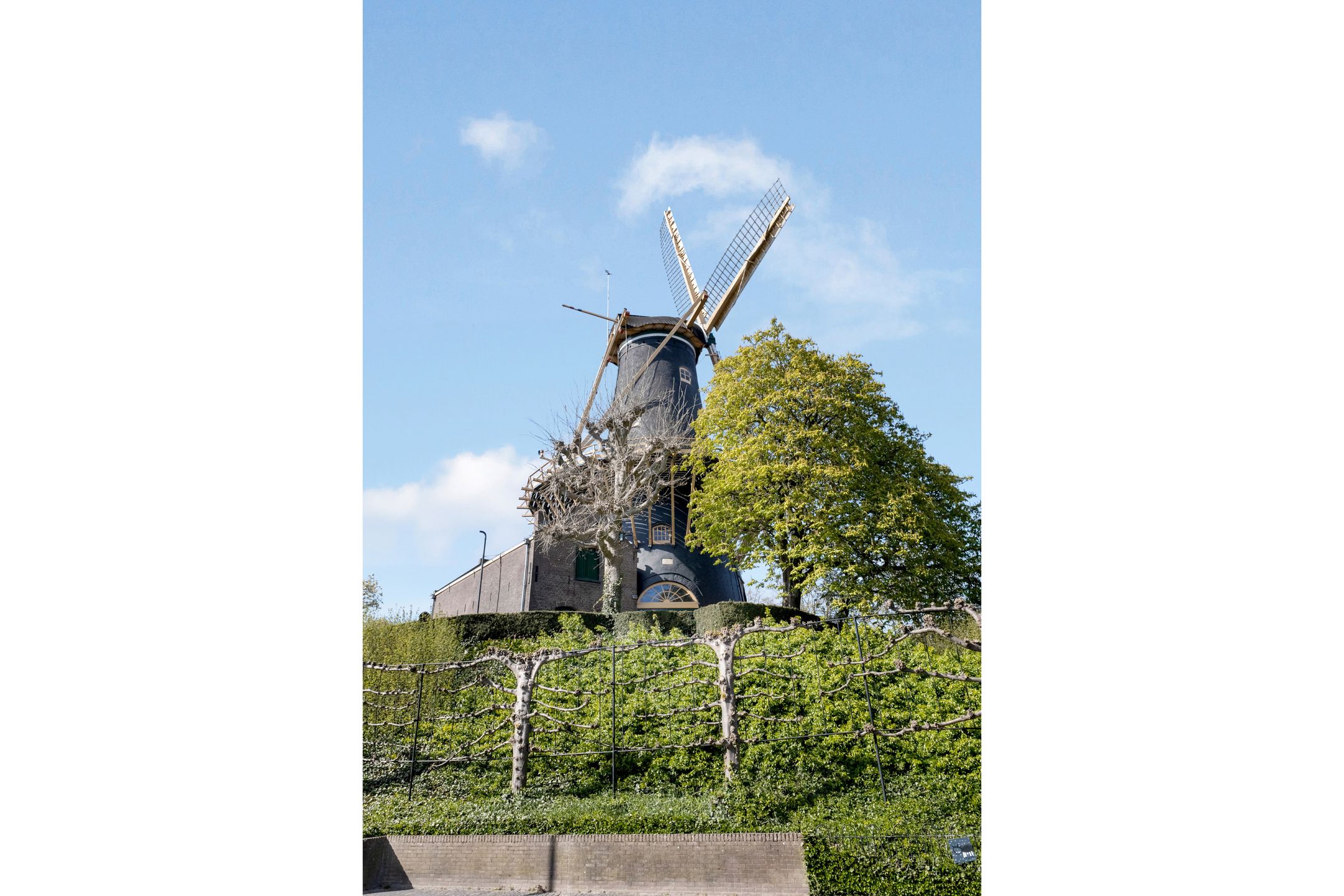 Photo 33 of Julianastraat 18